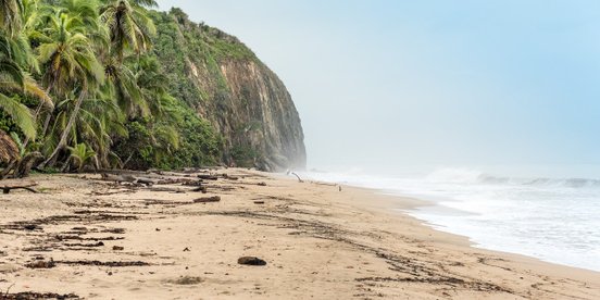 Menschenleerer Strand mit Palmen im Tayrona Nationalpark in Kolumbien