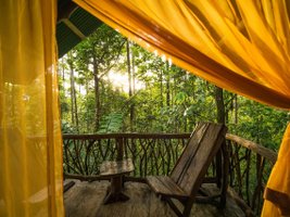 Durch einen orangenen Vorhang der La Tigra Rainforest Lodge fällt Sonnenlicht und gibt den Blick in den Regenwald frei