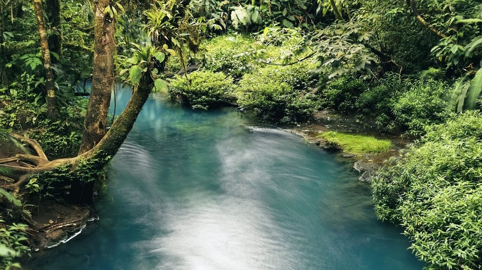Costa Rica Reisebericht