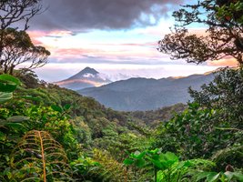 Vulkan Arenal umgeben von Dschungelplanzen bei Sonnenuntergang