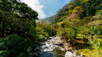 Wilder Flusslauf in Panama