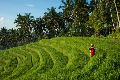 Indonesien Rundreise 2 Wochen