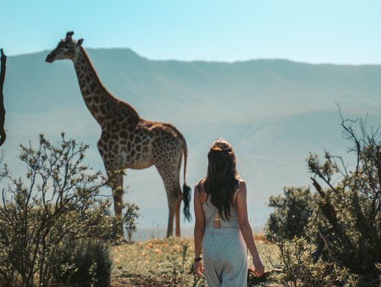 Frau auf Walkinsafari beobachtet eine Giraffe