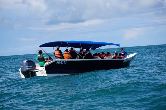 Menschen in einem Boot auf dem Meer beobachten einen Wal