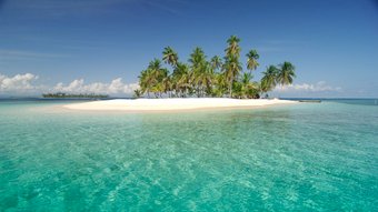 Kleine Insel im Meer mit einer Palme und türkisblauem Wasser