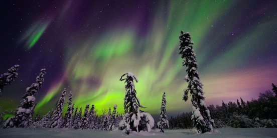 Polarlichter in einem verschneiten Wald in Finnland