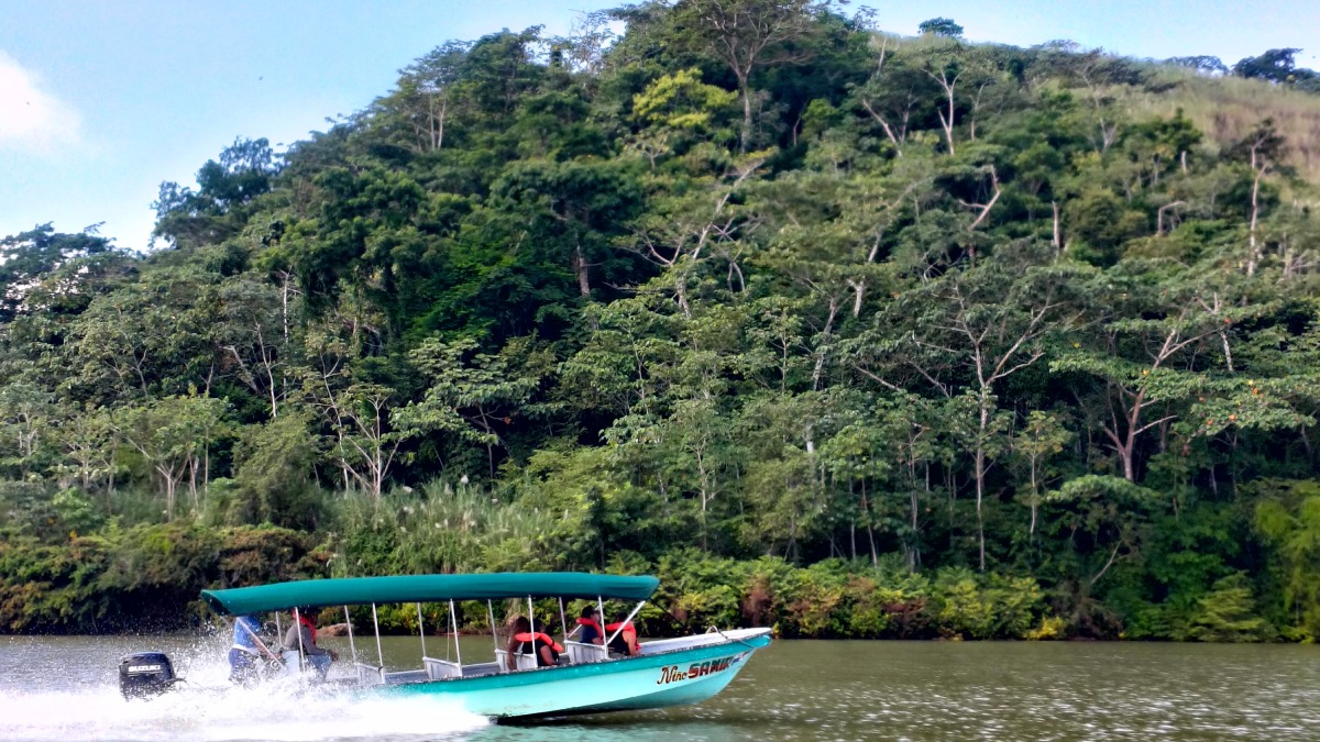 Bootsfahrt auf dem Gatunsee, Panama