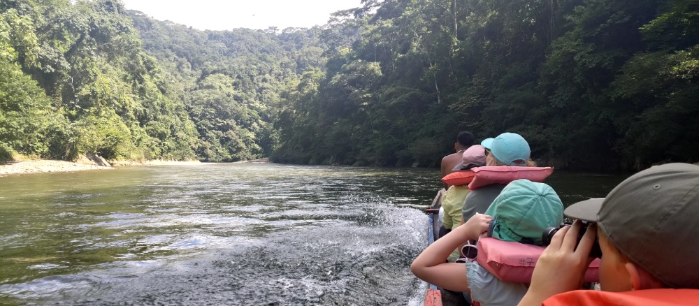 Boot fährt auf einem Fluss in Panama