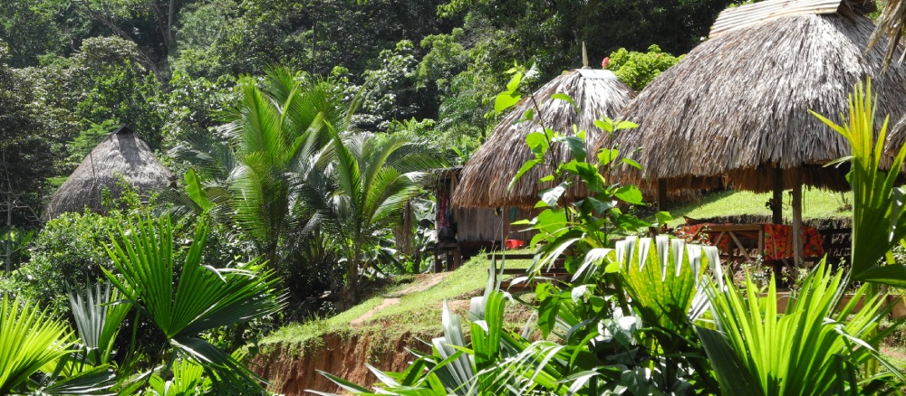 Ruhige Unterkunft umgeben von grüner Natur in Panama