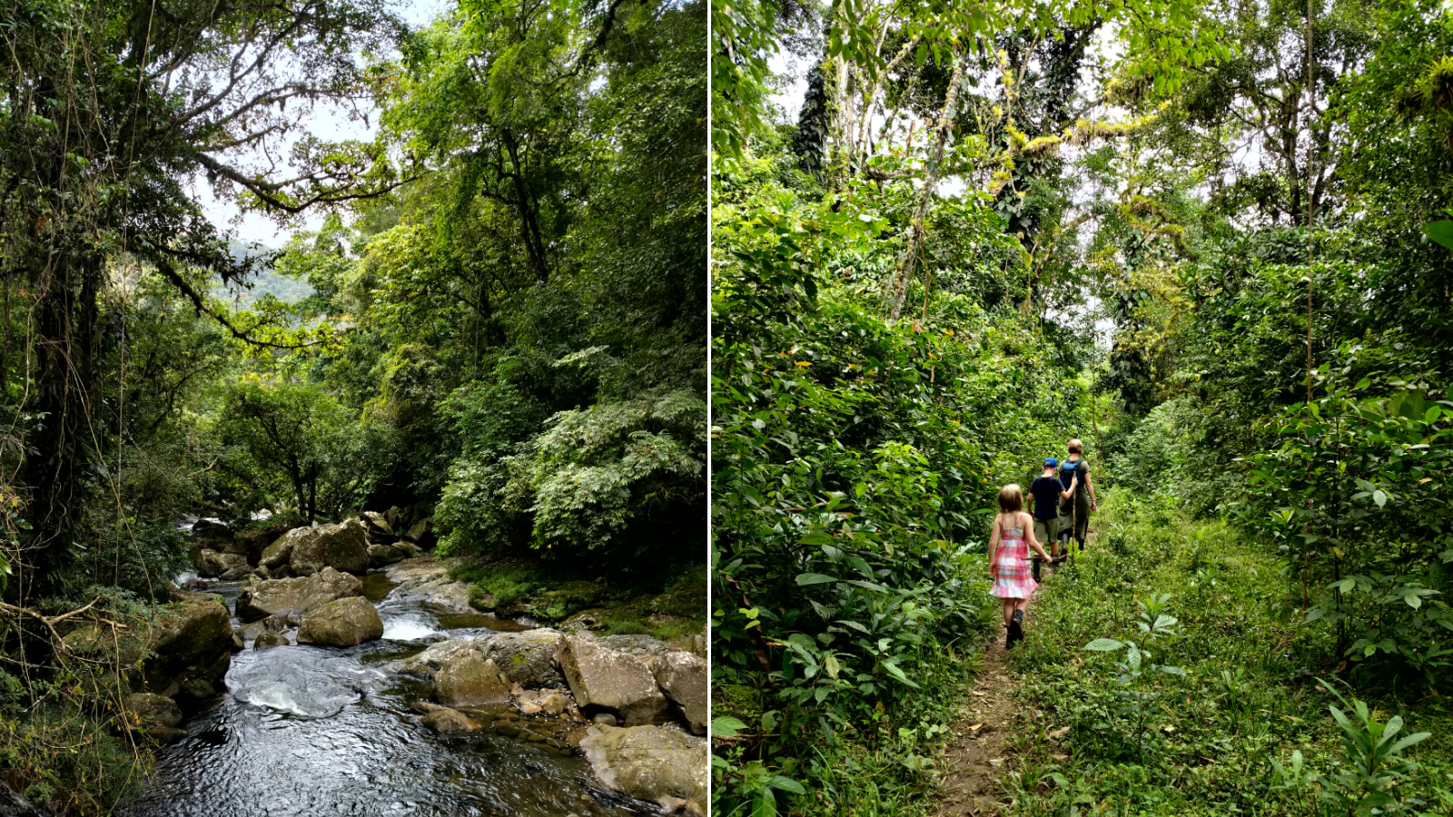 Wanderung zum Wasserfall in Santa Fe, Panama