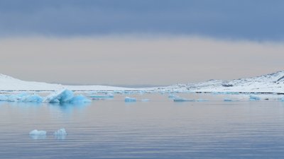 Türkisfarbene Eisberge treiben im Meer