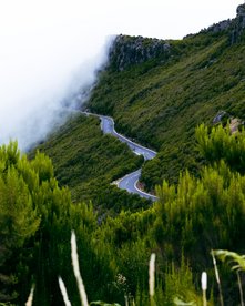 Serpentinienstraße durch grüne Landschaft