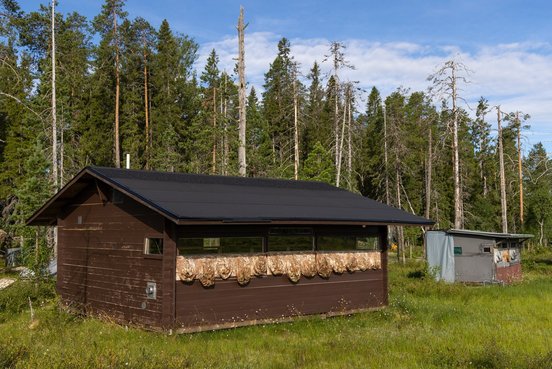 Fotohide in den Wäldern Finnlands