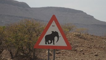 Verkehrsschild, dass vor Elefanten warnt