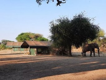 Am Rande des Safari Camps erscheint ein Elefant.