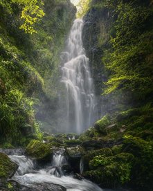 Wasserfall im Wald mit sattgrüner Vegetation