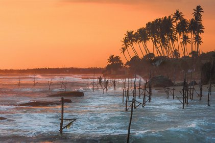 Palmen und Sonnenuntergang am Strand