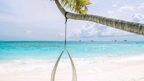 Hängestuhl an einer Palme am Strand