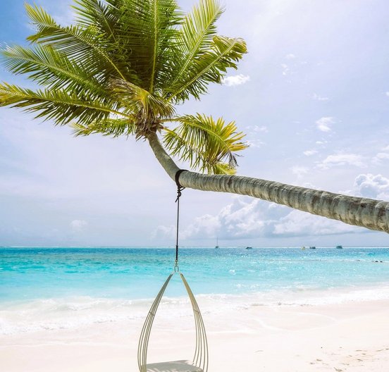 Hängestuhl an einer Palme am Strand