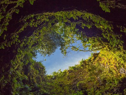 ???????????????????????????????????????????????????????????????????????????????????????????????????????????????????????????????????????????????????????????????????????????????????????????????? Cave in an extinct volcano on the island of Terceira Gruta do 