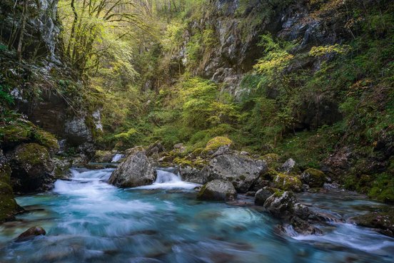 Türkisfarbener Fluss durchfließt eine Klamm mit herbstlichem Wald