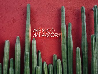 México mi Amor Schriftzug auf einer roten Wand