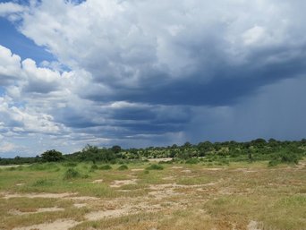 Regenwolken über der afrikanischen Landschaft