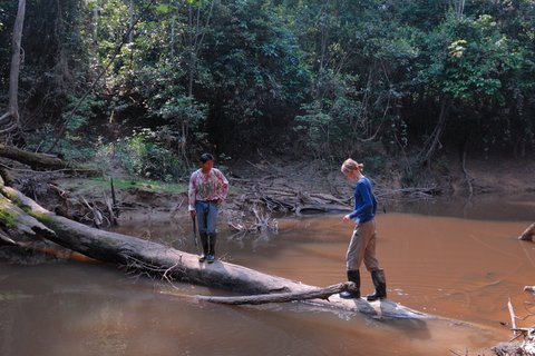 Bridges require a good balance. Amazonas | Die Br?cken erfordern eine gute Balance. Amazonas | Los puentes requieren de buen equilibrio. Amazonas