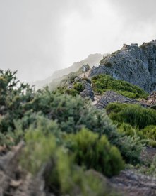 Mensch wandert zwischen üppiger Vegetation