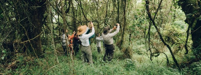 Uganda, Afrika: Tierbeobachtungen im Nationalpark