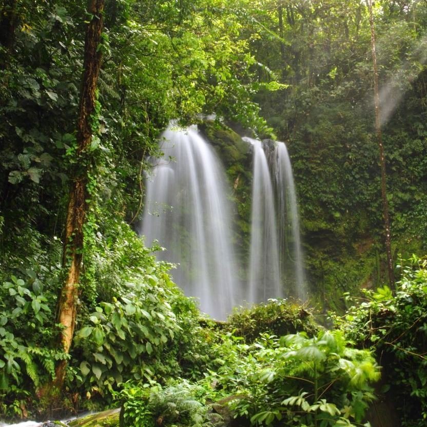 Wasserfall im Regenwald, langzeitbelichtet