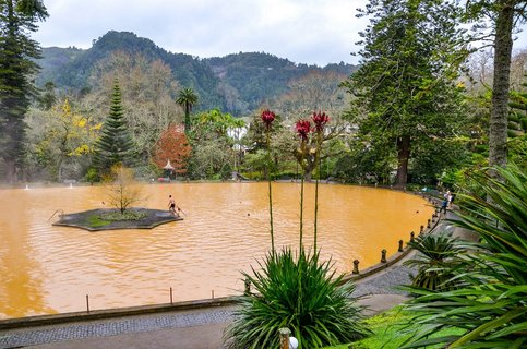 Furnas, Azores, Portugal - Jan 13, 2020: Hot spring iron water thermal pool in Terra Nostra Garden. People swimming in brown color water from a volcanic spring. Portuguese tourist destination