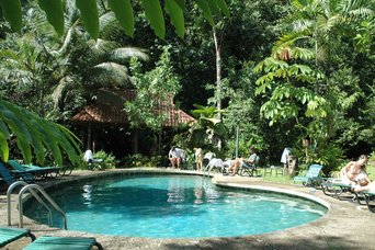 Ein sonniger Pool wird gesäumt von sattgrünen Regenwaldpflanzen