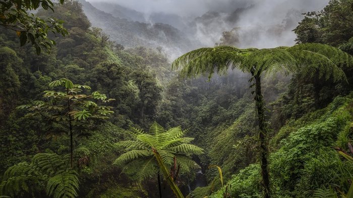 Costa Rica im Juli