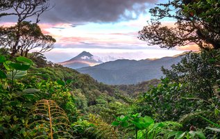 Vulkan Arenal umgeben von Dschungelplanzen bei Sonnenuntergang