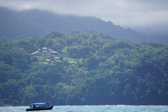 Boot auf dem Meer und Blick auf die Küste mit Regenwald