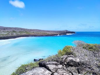 Türkisblaues Wasser vor der Kste von Galapagos