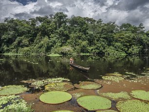 Fischer auf einem Fluss im Amazonas und riesige Seerosenblätter