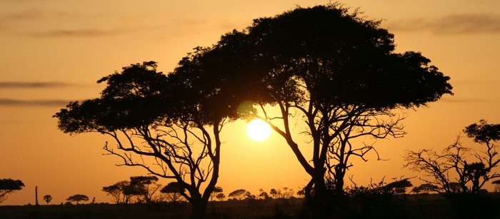 Sonnenaufgang in Uganda - golden