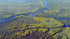 Feutchgebiete im Pantanal von oben