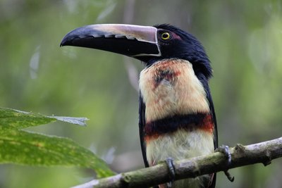 Erlebnisreisen Tierbeobachtung