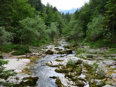 Mostnica Gorge - Stara Fuzina Flussbett