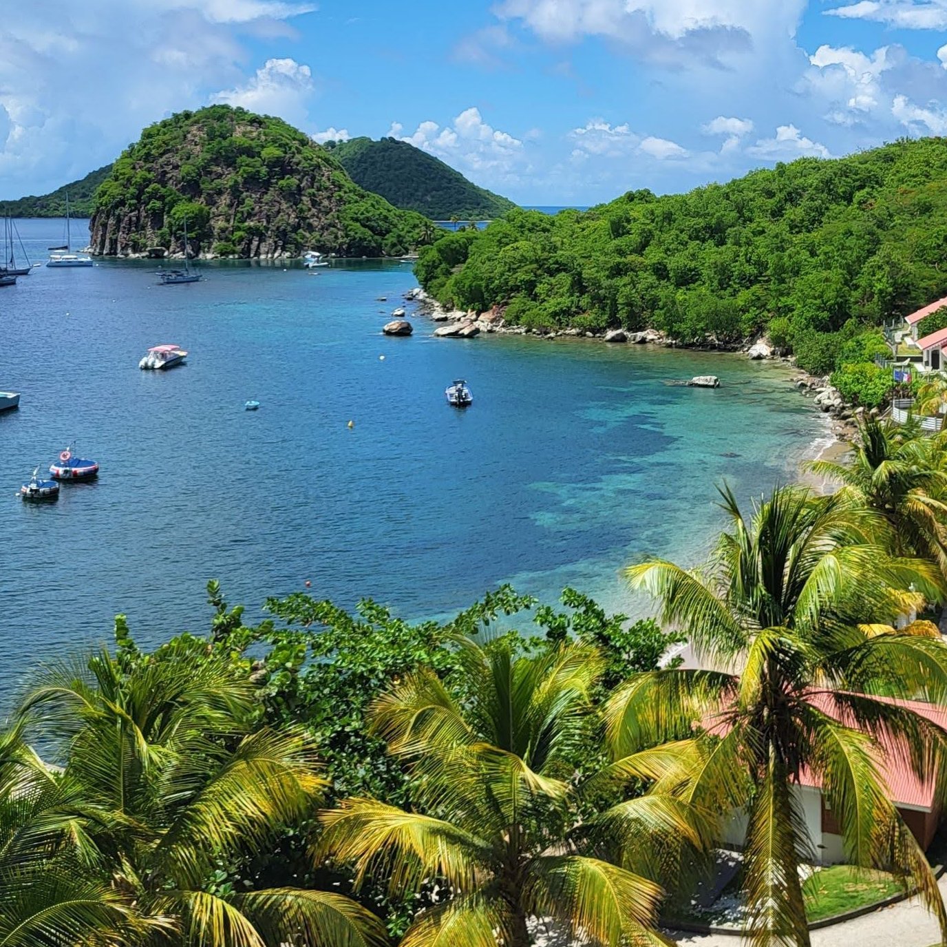 Blaues Meer, grüne Küste in Guadeloupe