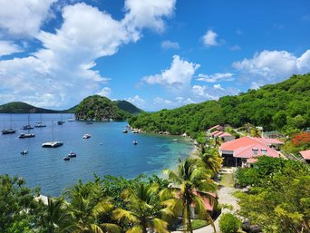 Blaues Meer, grüne Küste in Guadeloupe