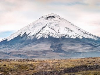 Blick auf den Vulkan Cotopaxi und ein Pferd im Vordergrund