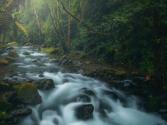 Costa Rica im Mai