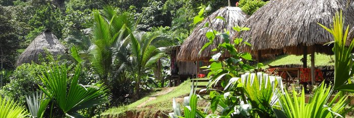 Cabanas im Grünen - Panama