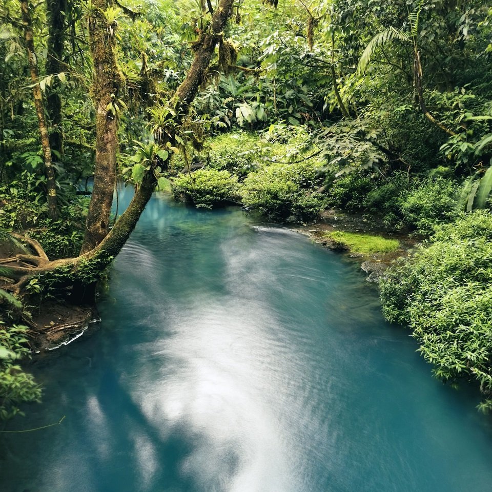 Türkisblauer Fluss umgeben von dichtem Dschungel