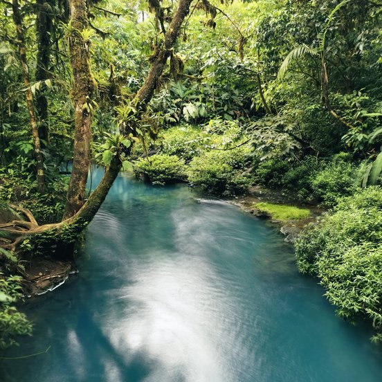 Türkisblauer Fluss umgeben von dichtem Dschungel