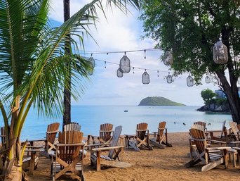 Liegestühle unter Palmen am Strand von Guadeloupe